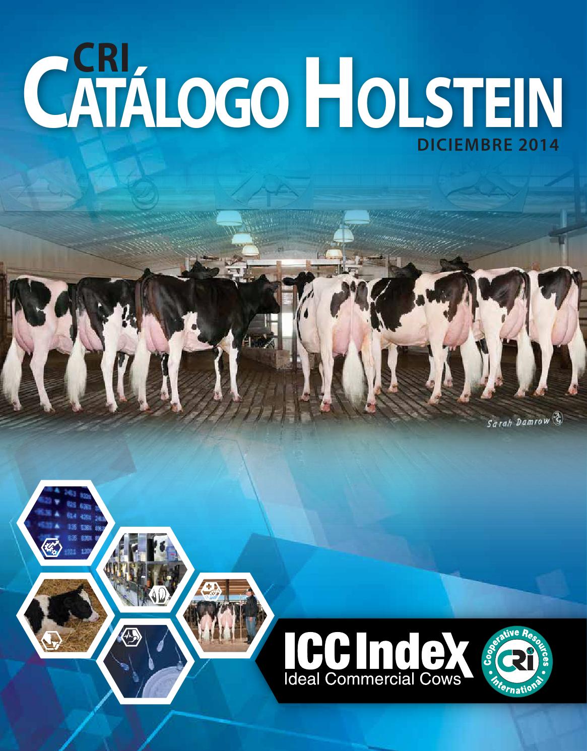 CRI Holstein CatalogSpanish by GENEX Issuu