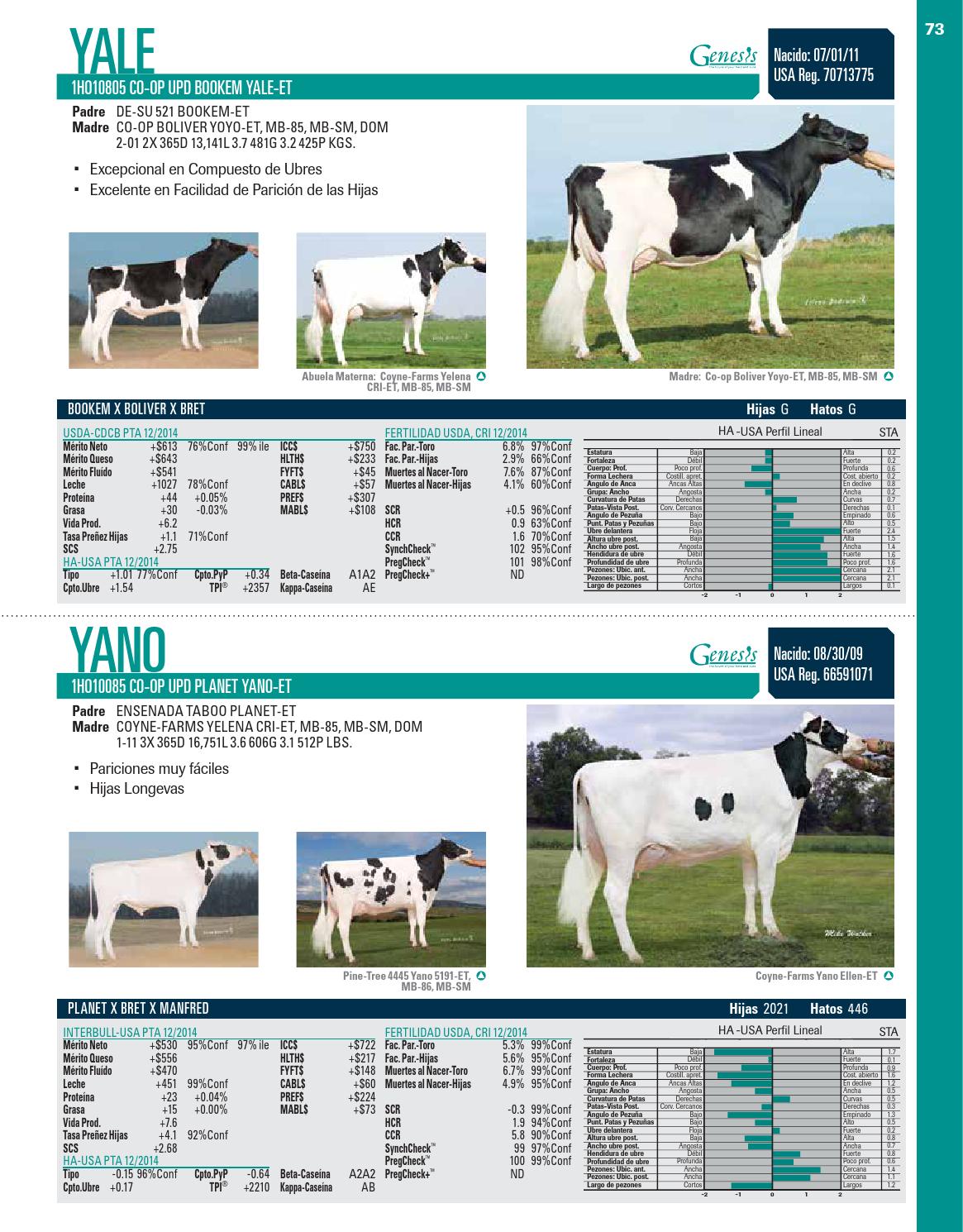 CRI Holstein CatalogSpanish by GENEX Issuu