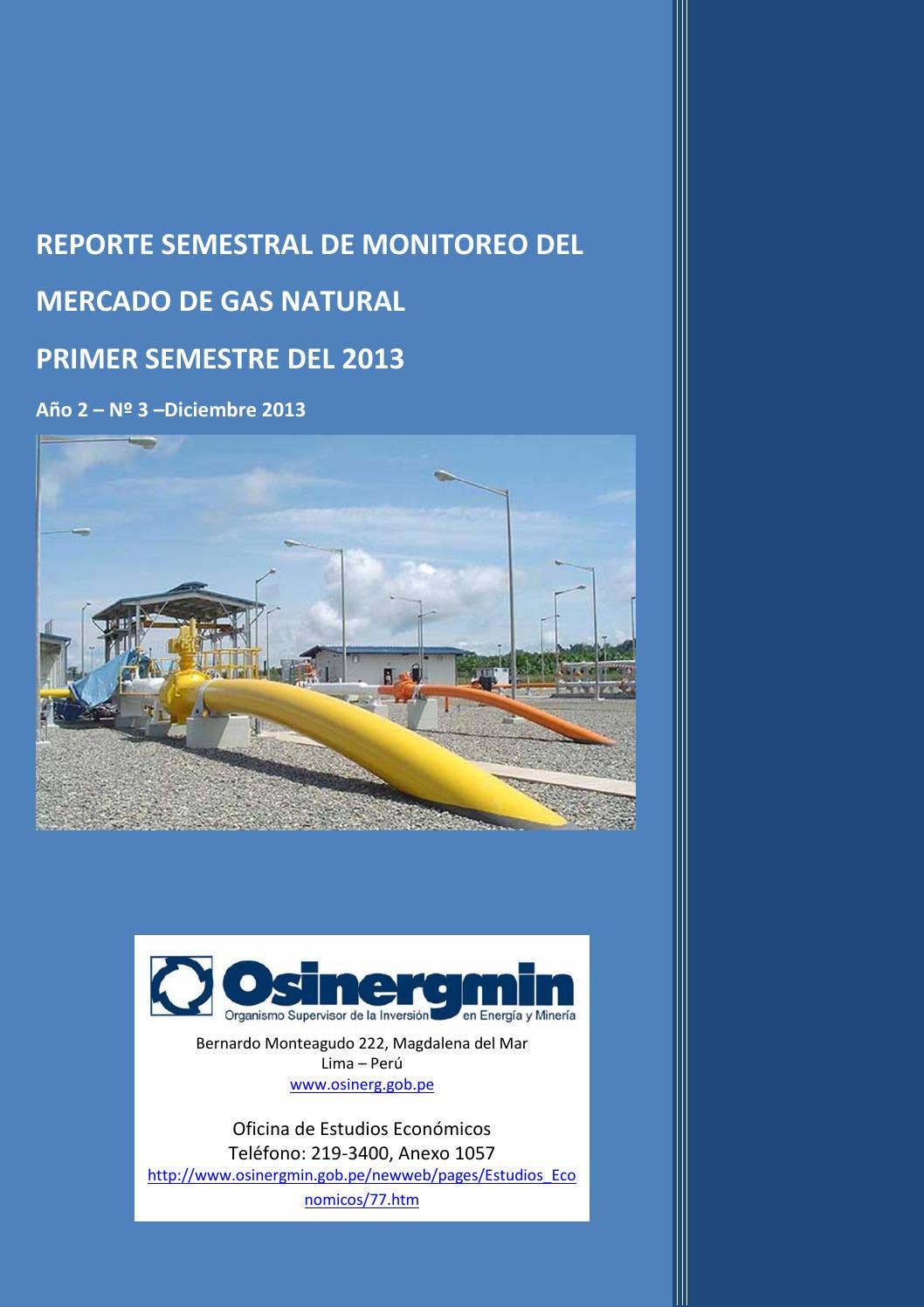 Reporte gas natural primer semestre by Osinergmin - Issuu