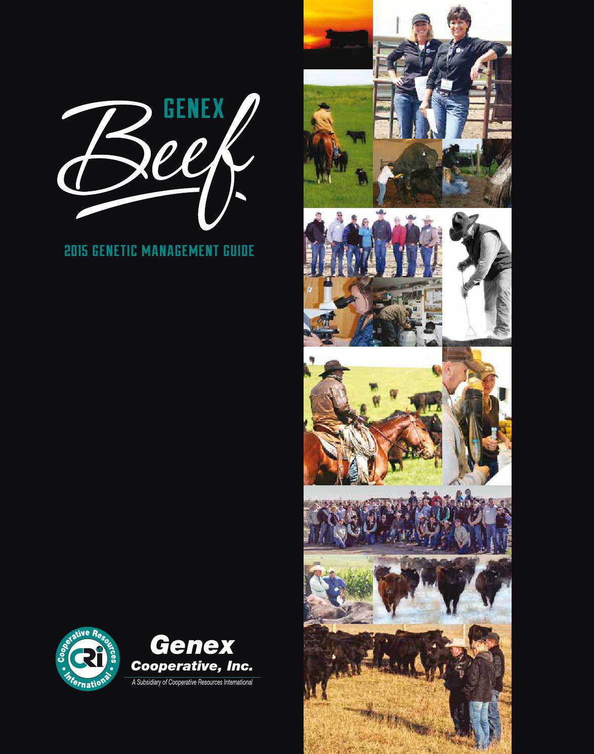 Genex Beef Genetic Management Guide By Genex Issuu