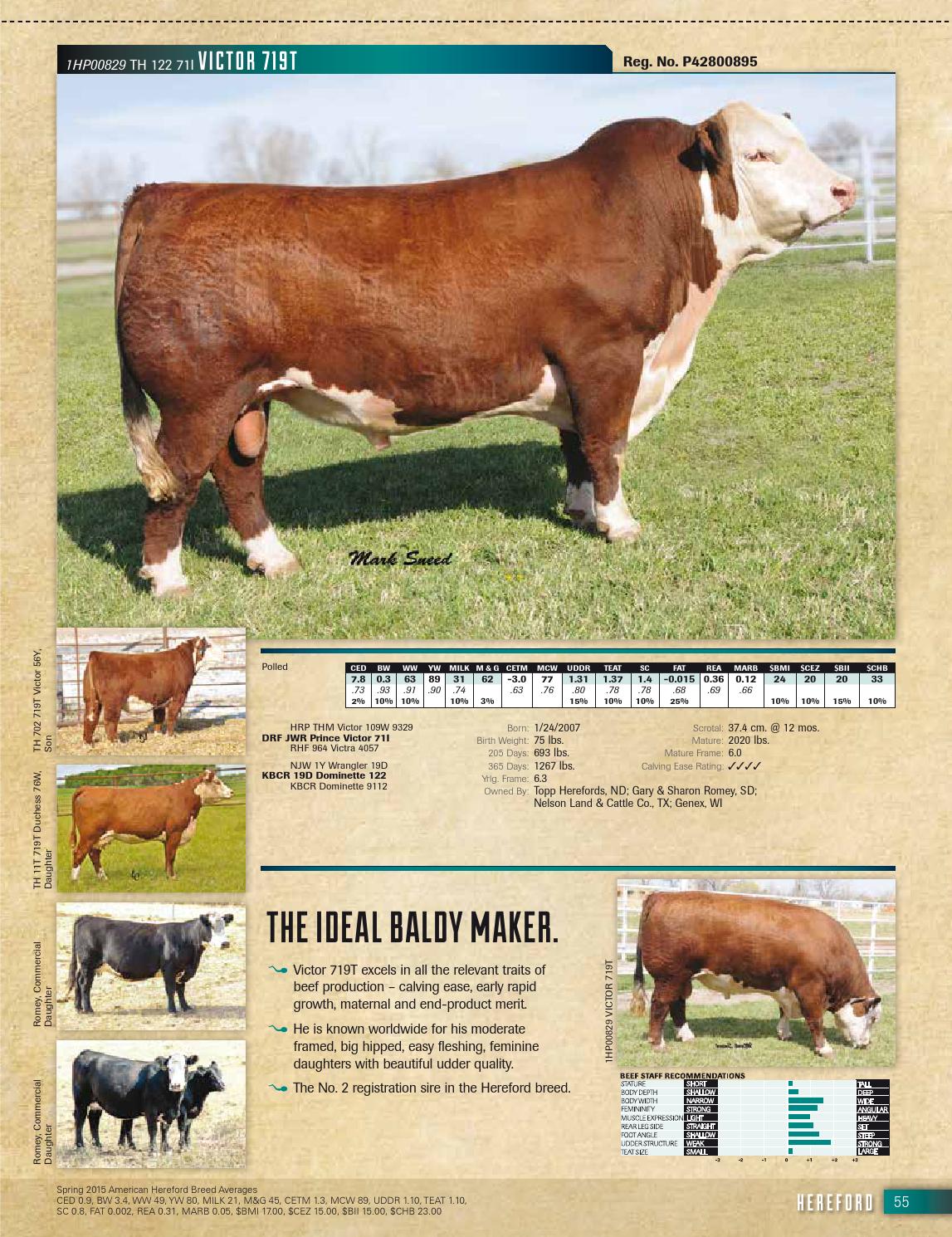 Genex Beef Management Guide by GENEX Issuu