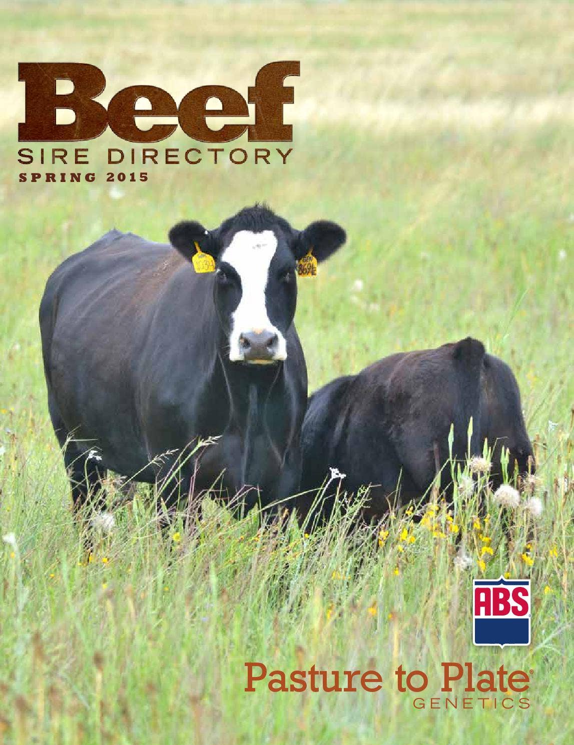 ABS Beef Sire Directory Spring 2015 by ABS Global, Inc. Issuu