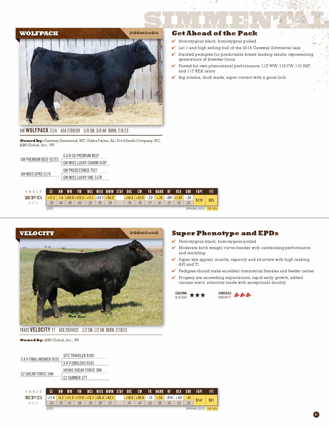 ABS Beef Sire Directory Spring 2015 by ABS Global, Inc. Issuu