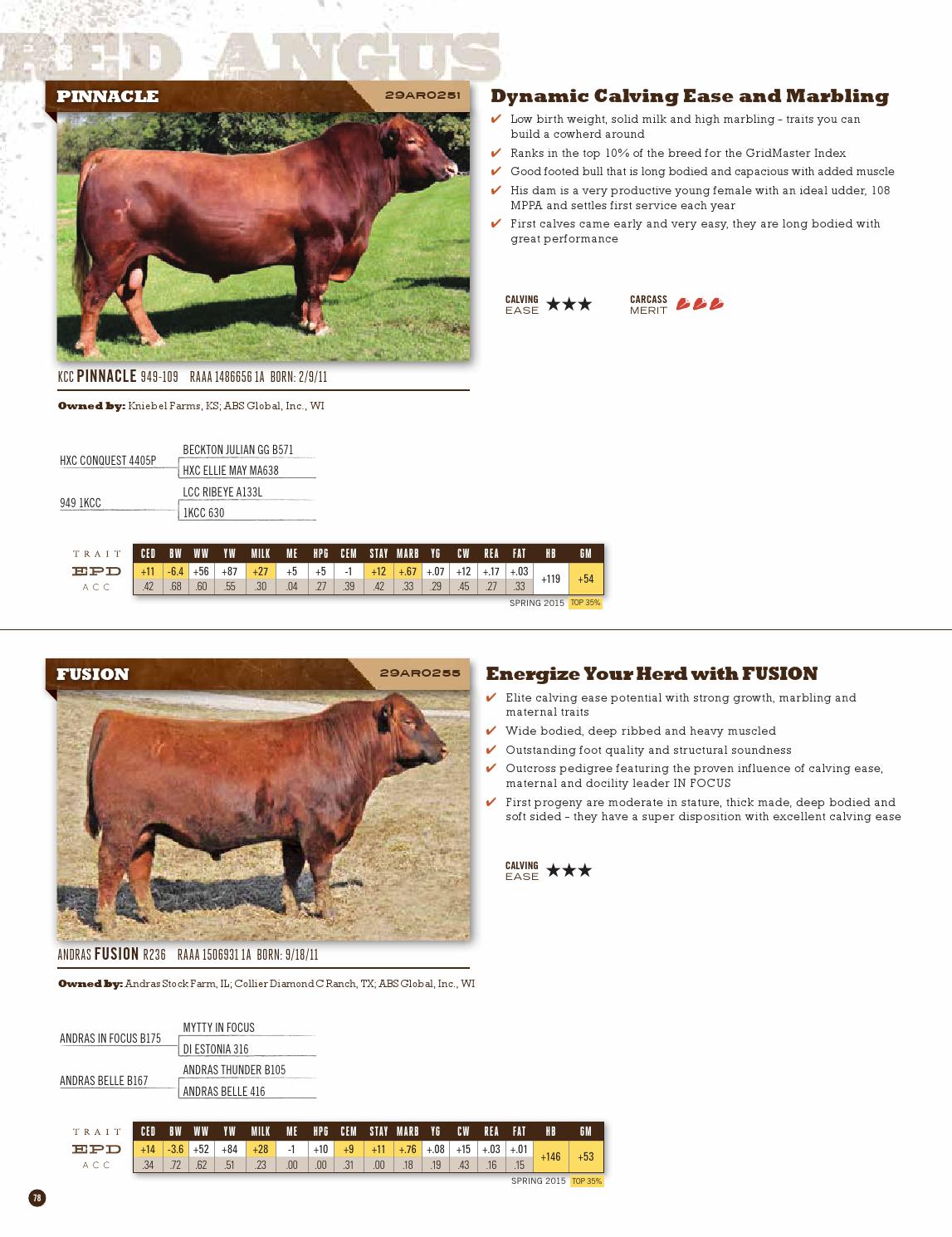 ABS Beef Sire Directory Spring 2015 by ABS Global, Inc. Issuu