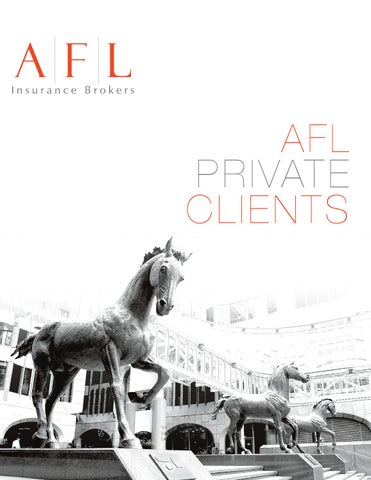 AFL - BROCHURE by MT-OGDA - Issuu