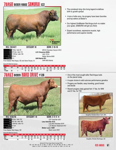 激安単価で Sire Beef 2015 Directory Issuu - West Kim by ぬいぐるみ