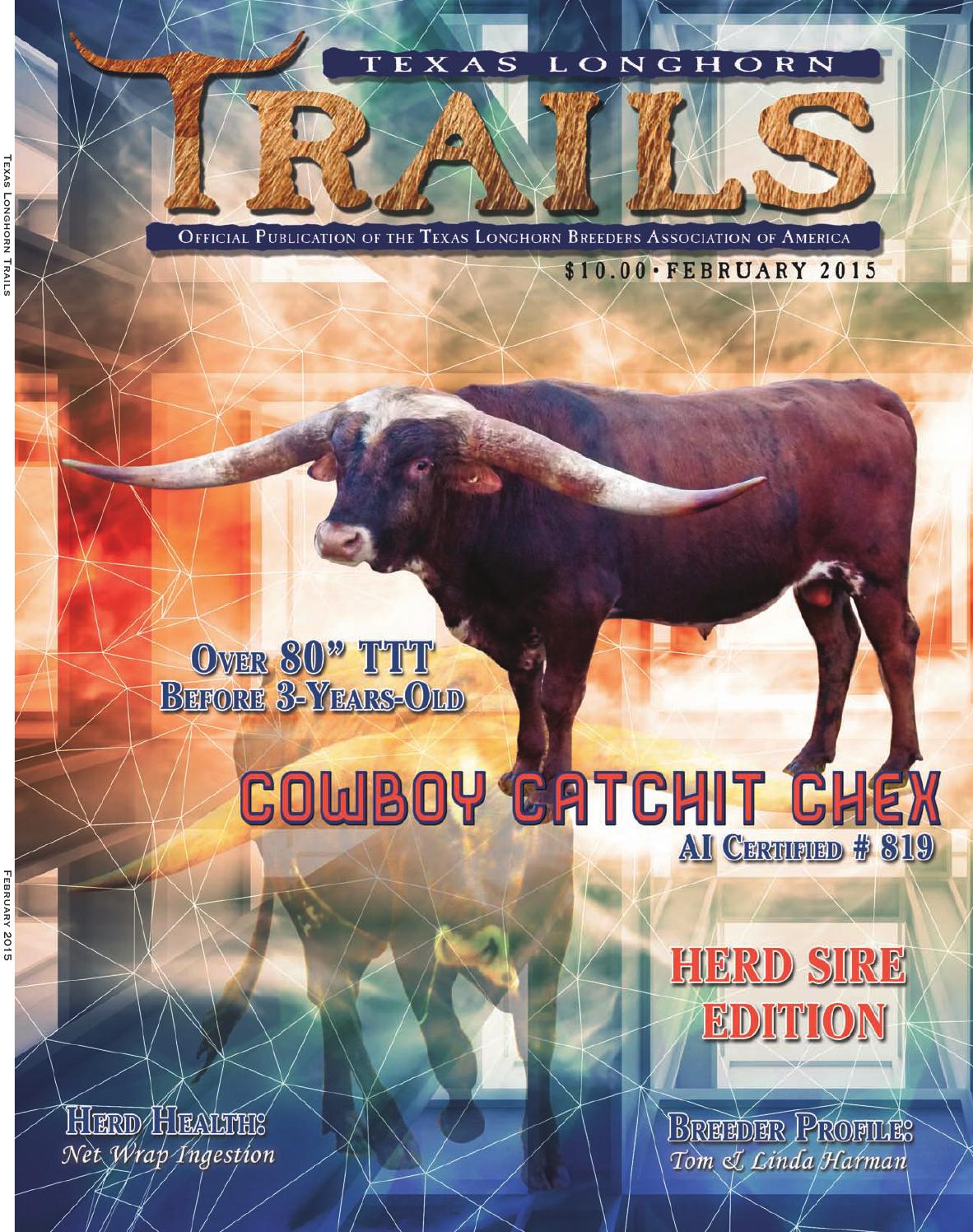 ** TEXAS LONGHORNS ** POSTER 003 Multiple Sizes Available