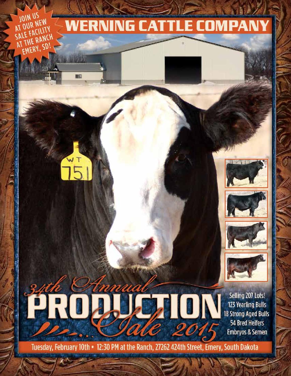 Werning Cattle Co Catalog 2015 by Eberspacher Enterprises Issuu