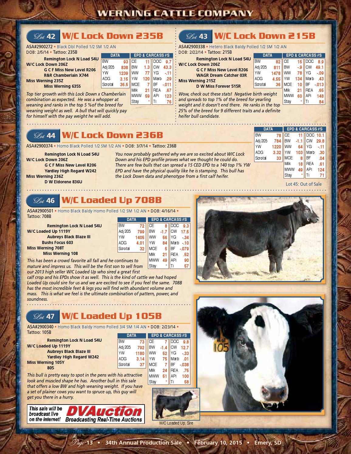 Werning Cattle Co Catalog 2015 by Eberspacher Enterprises Issuu