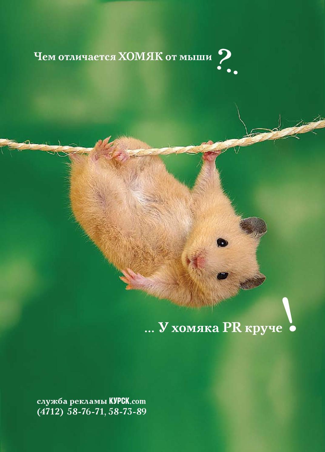 Светик приветик картинки