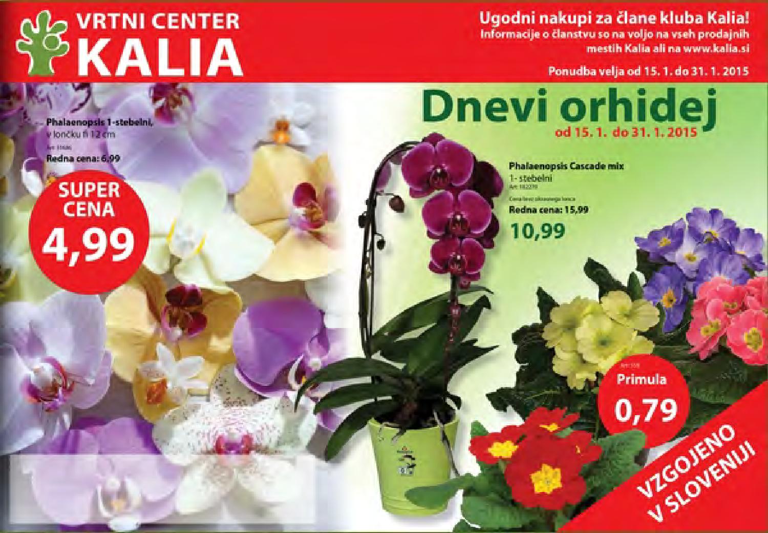 Kalia katalog januar 2015 by Vsikatalogi.si - Issuu