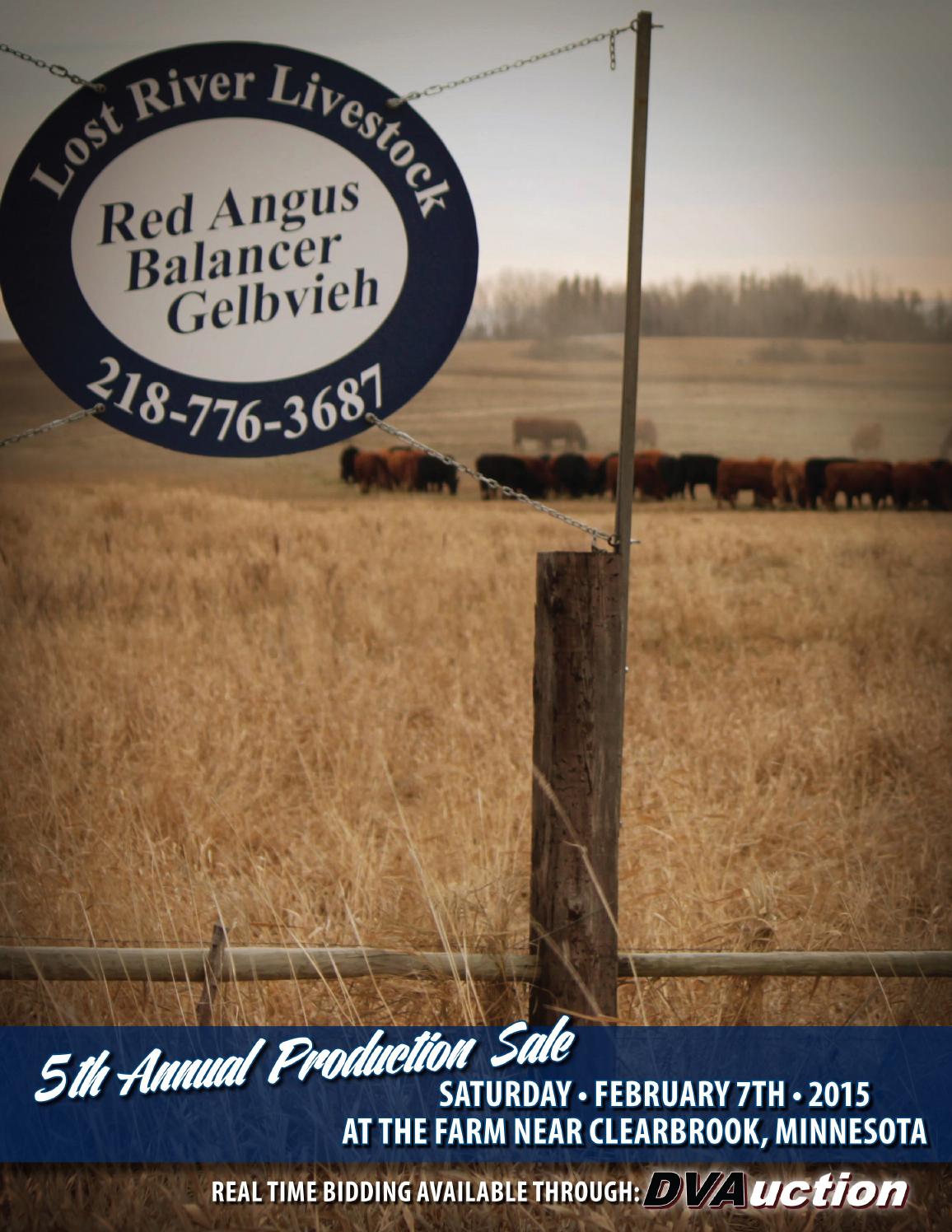 Lost River Livestock 5th Annual Production Sale by American Gelbvieh