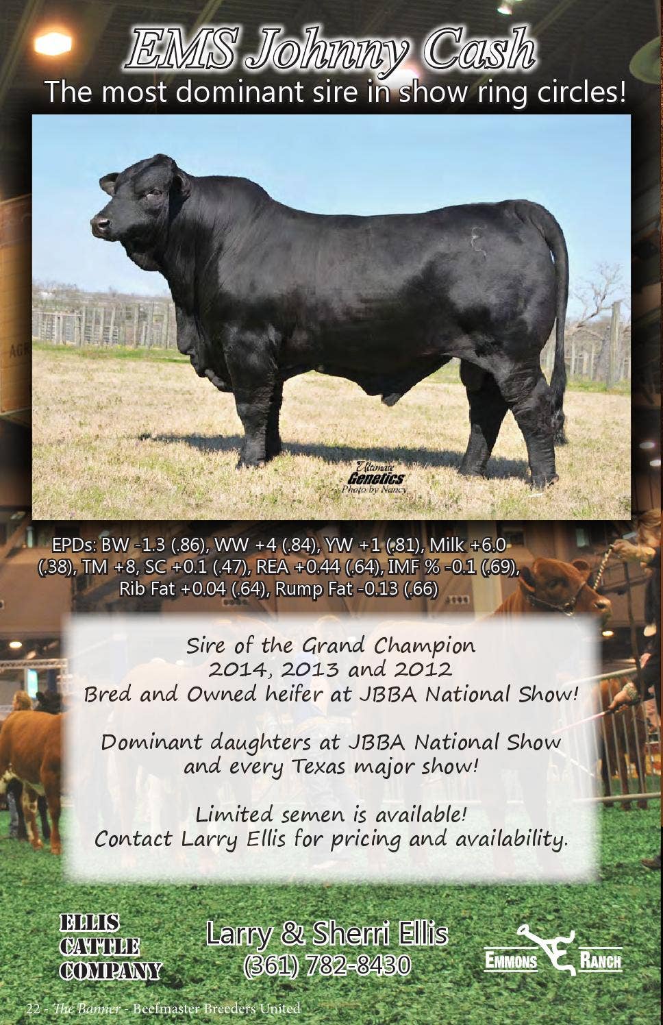 The Banner - Beefmaster Seedstock Directory by Beefmaster Breeders ...