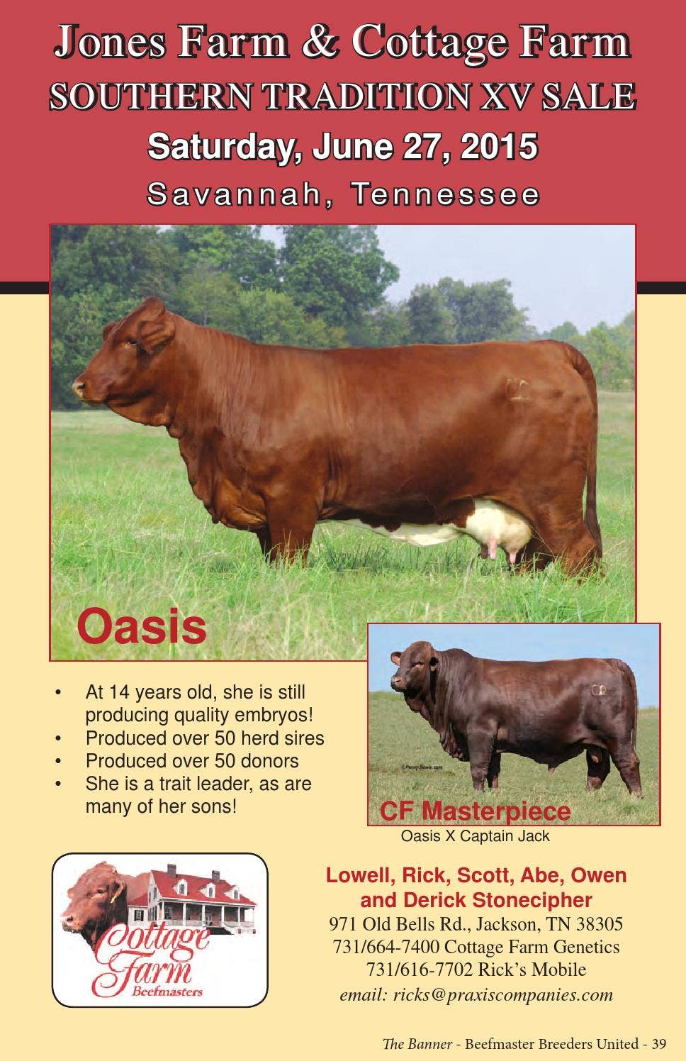 The Banner - Beefmaster Seedstock Directory by Beefmaster Breeders ...
