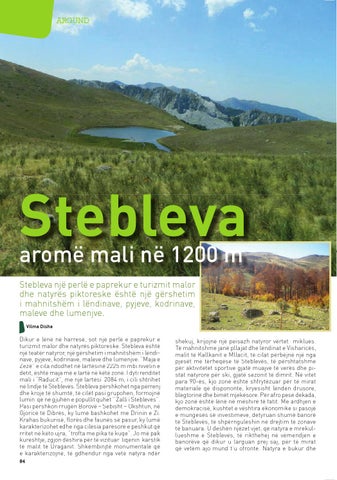 Page 84