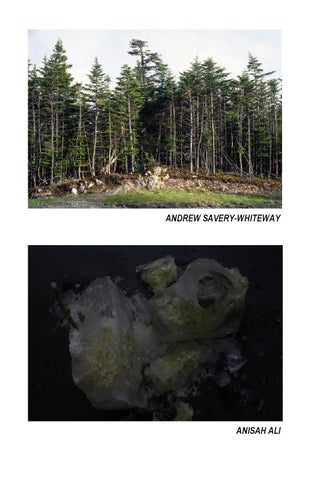Natural Habitat 第 4 页
