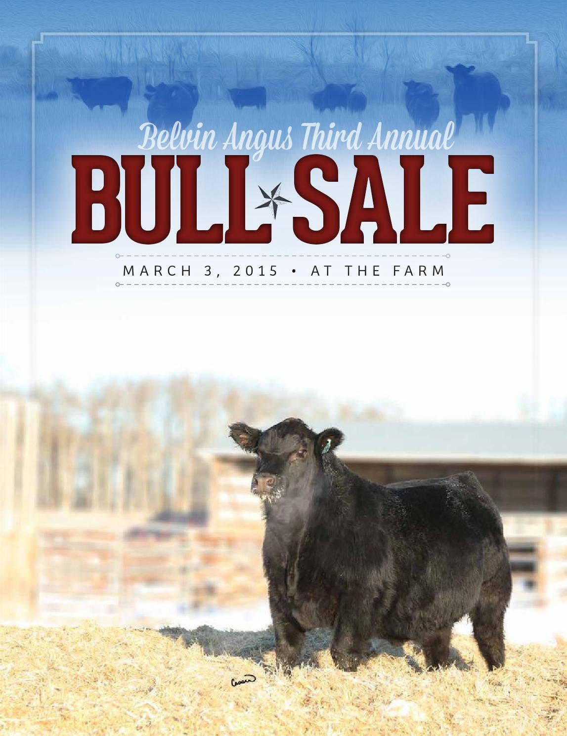 Belvin Angus Third Annual Bull Sale by Catalogs by Top Stock - Issuu