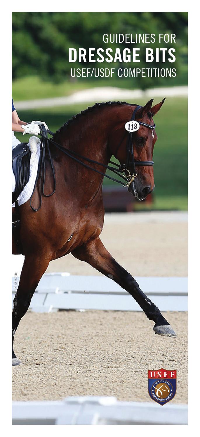 Guidelines For Dressage Bits By United States Equestrian