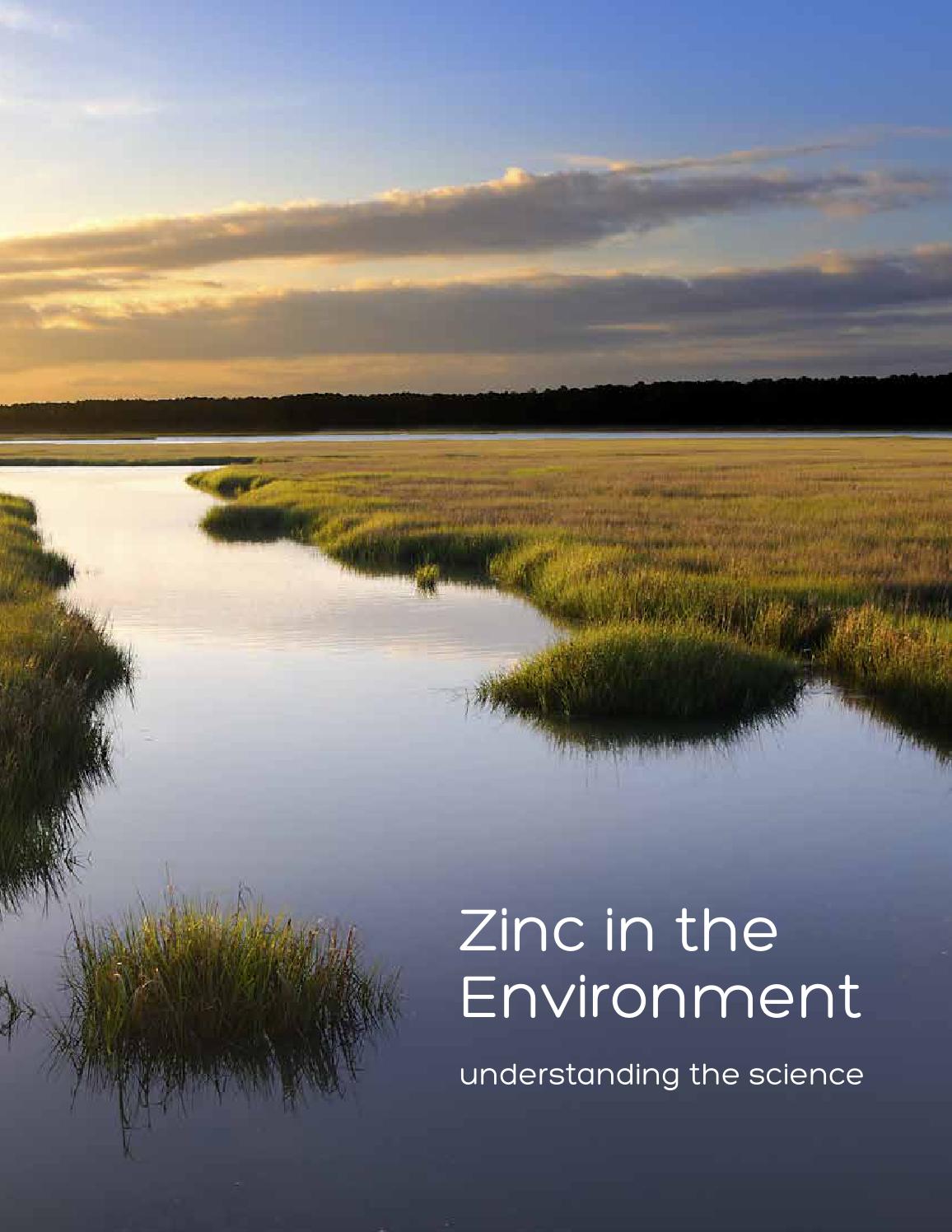 Zinc in the Environment Understanding the Science by rob putnam Issuu