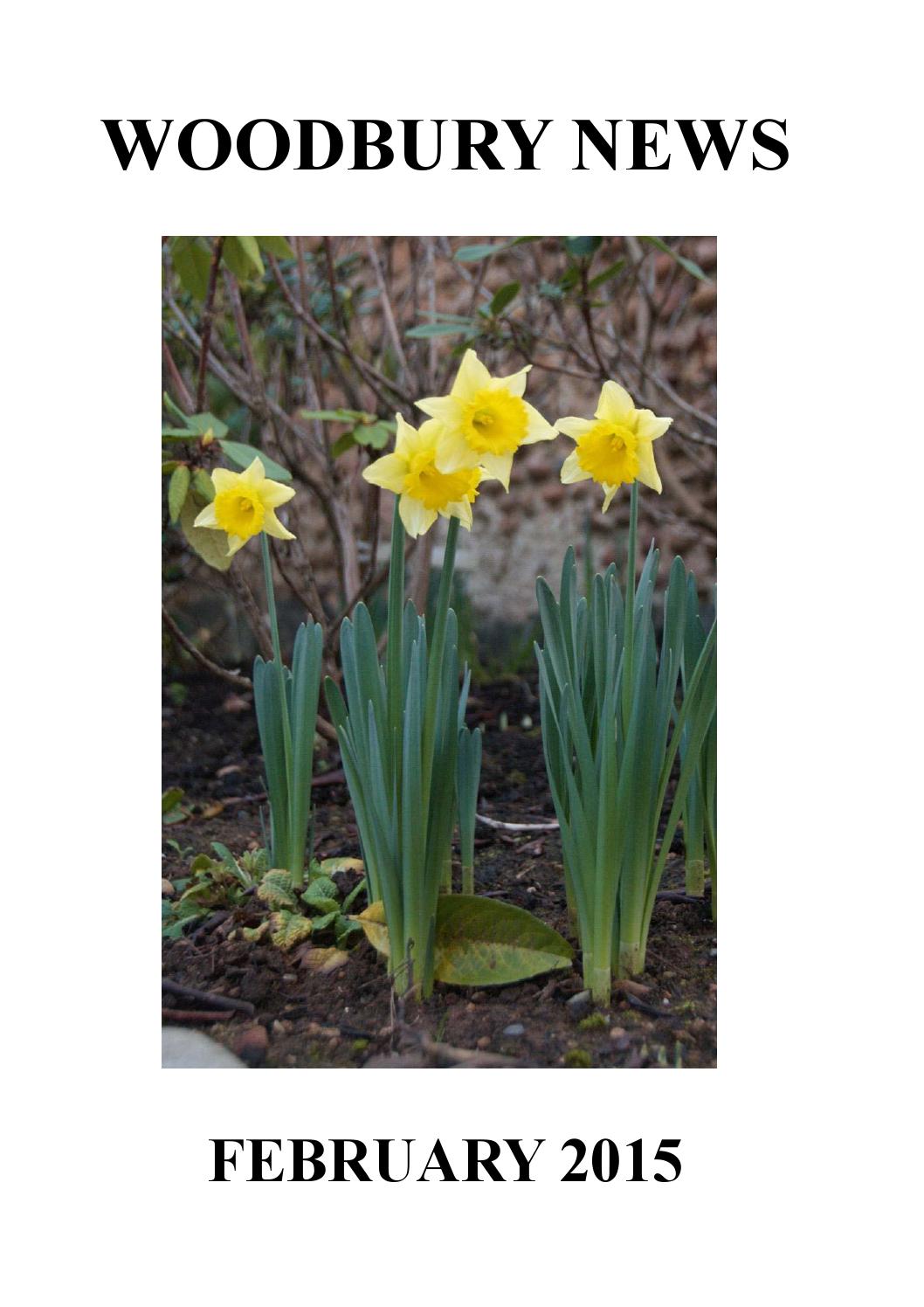 Woodbury News February 2015 by Woodbury News Issuu