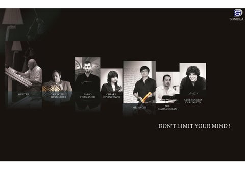 Sunidea 灯饰产品集 2014-2015 第 2 页