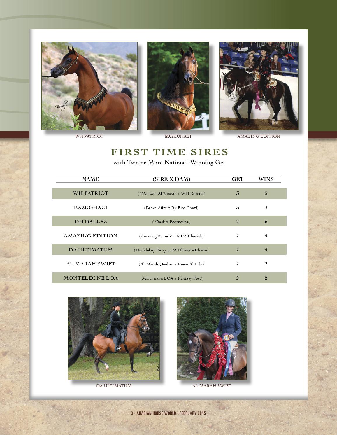 FirstTime Sires of National Winners by Arabian Horse World Issuu