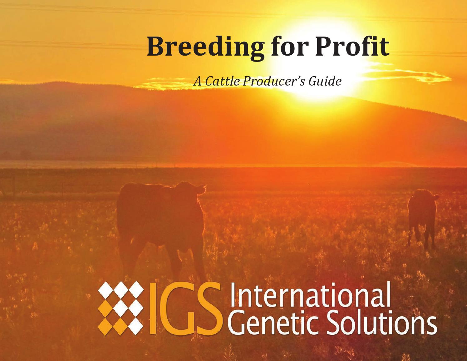 Breeding For Profit, A Cattle Producer's Guide by American Simmental