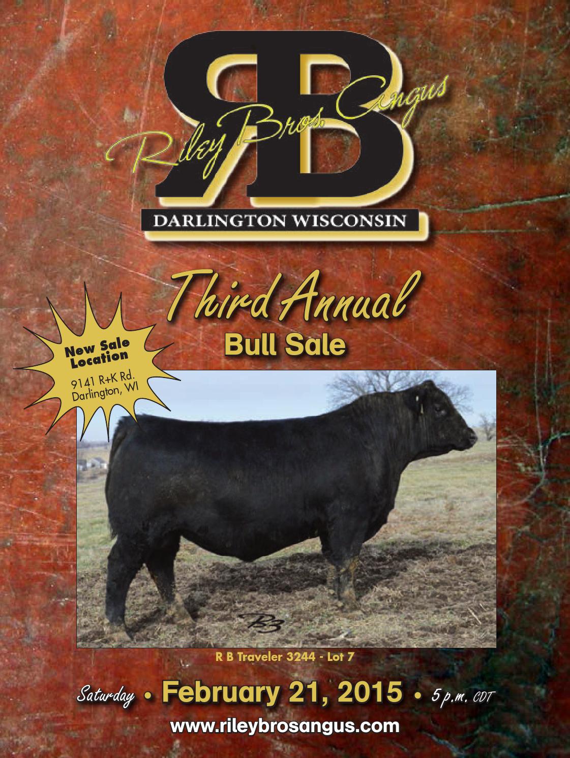 2015 Riley Bros Angus Bull Sale Catalog by Ranch House Designs Issuu