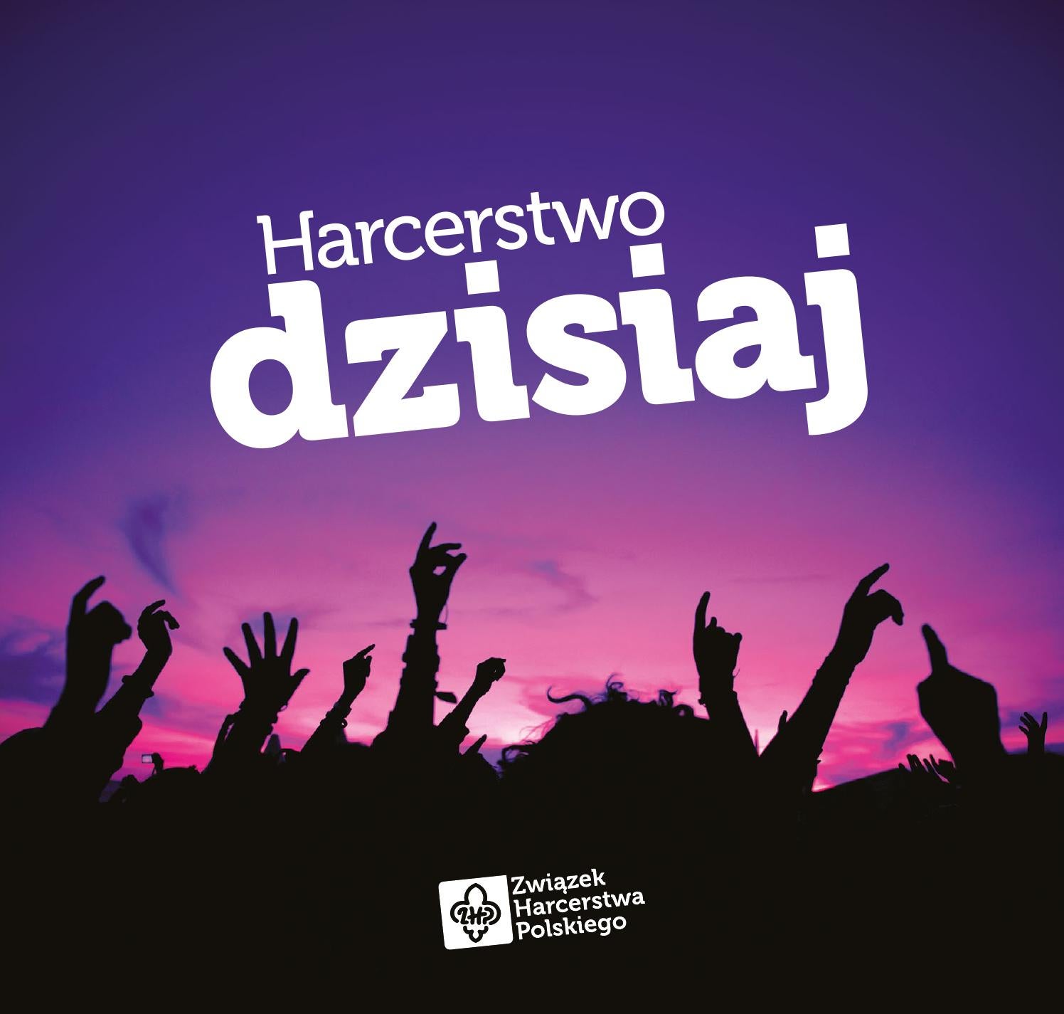 Harcerstwo dzisiaj - Raport ZHP 2014 by Związek Harcerstwa Polskiego ...