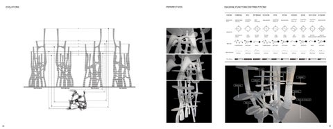 Undergraduted Portfolio 第 19 页