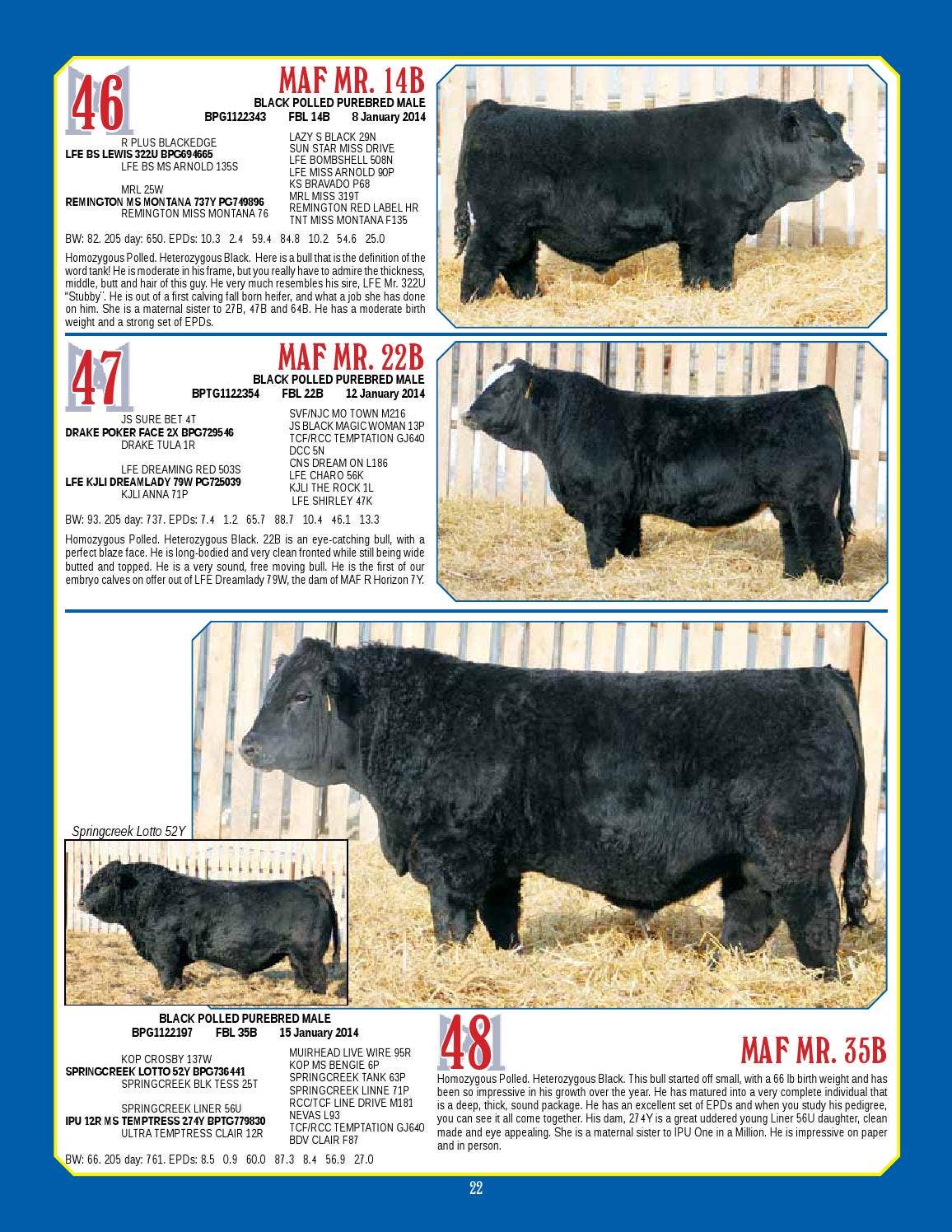 lady　0509 Issuu