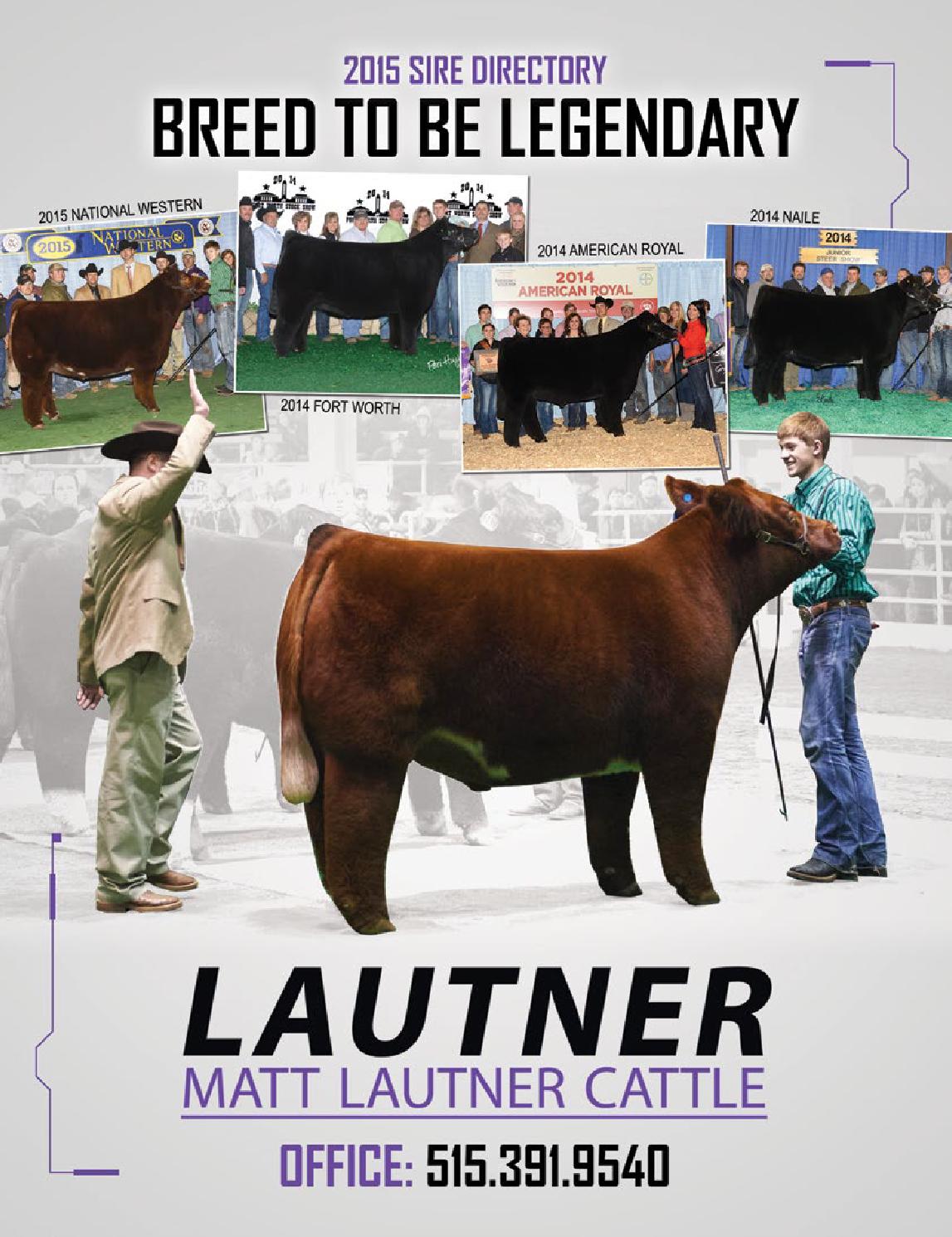Matt Lautner Cattle 2015 Sire Directory by The Showtimes Magazine Issuu