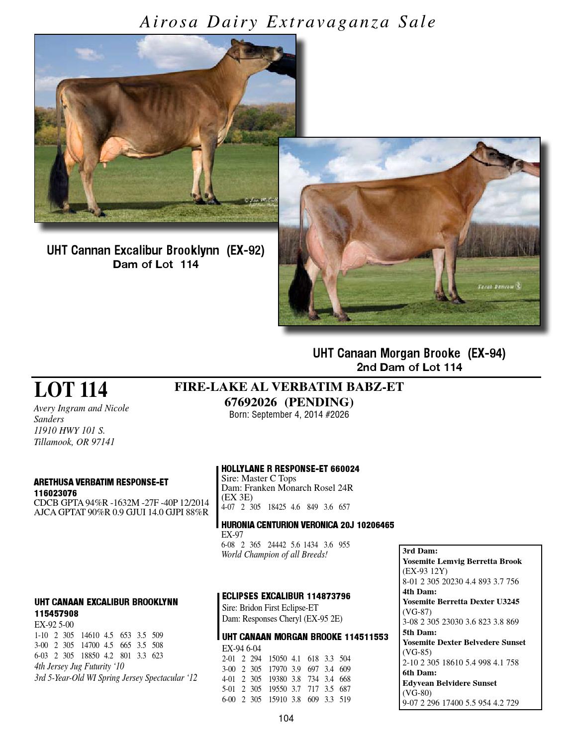 Airosa Dairy Extravaganza Sale 2015 by Dairy Agenda Today Issuu