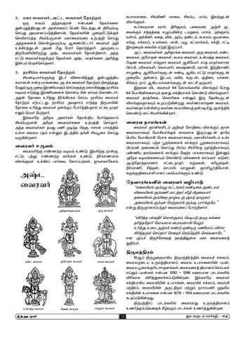 Hindu Oli 19 02 E Book By Finder 2000 Issuu