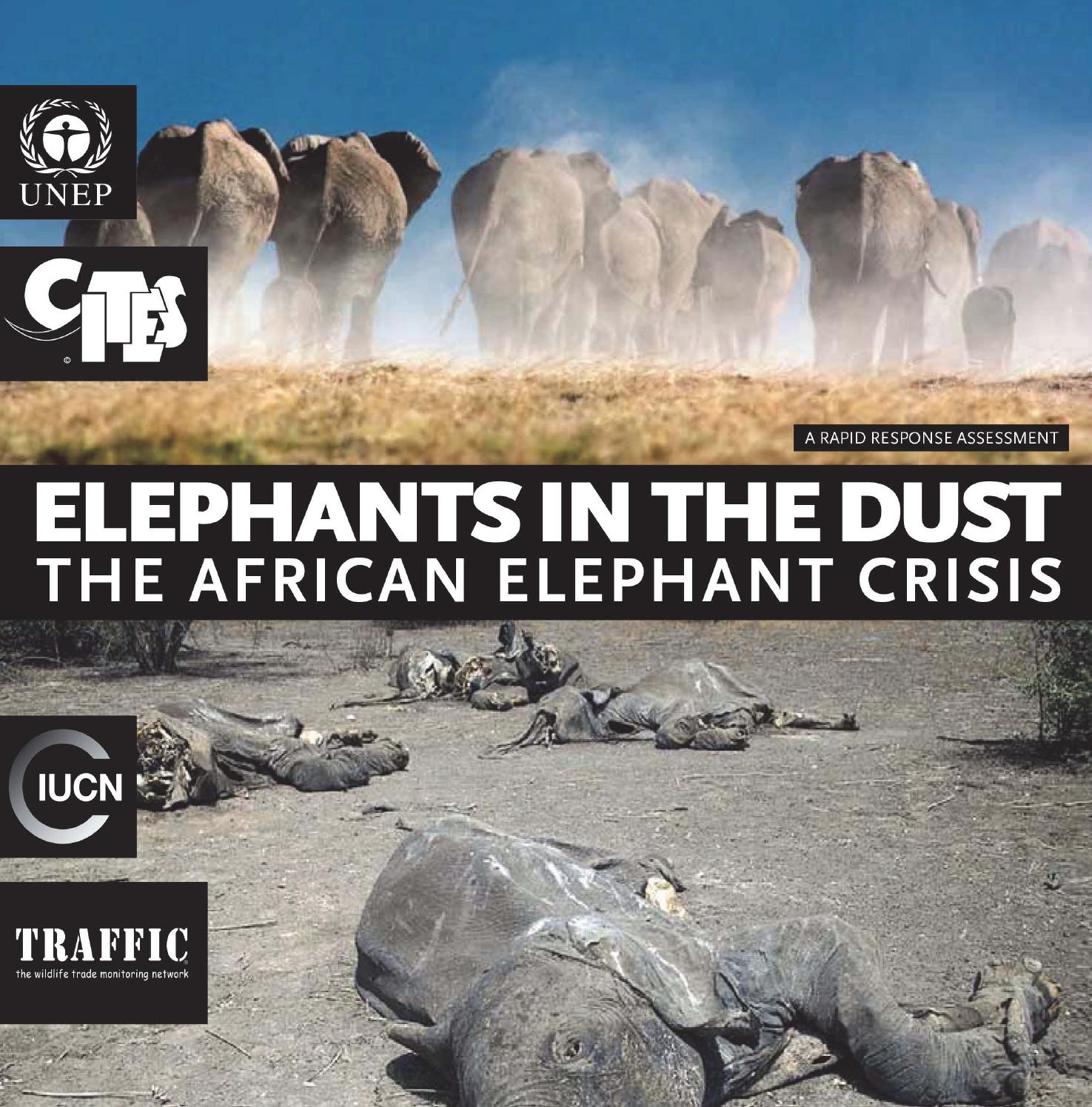 Elephants in the Dust: The African Elephant Crisis by United Nations Publications - issuu