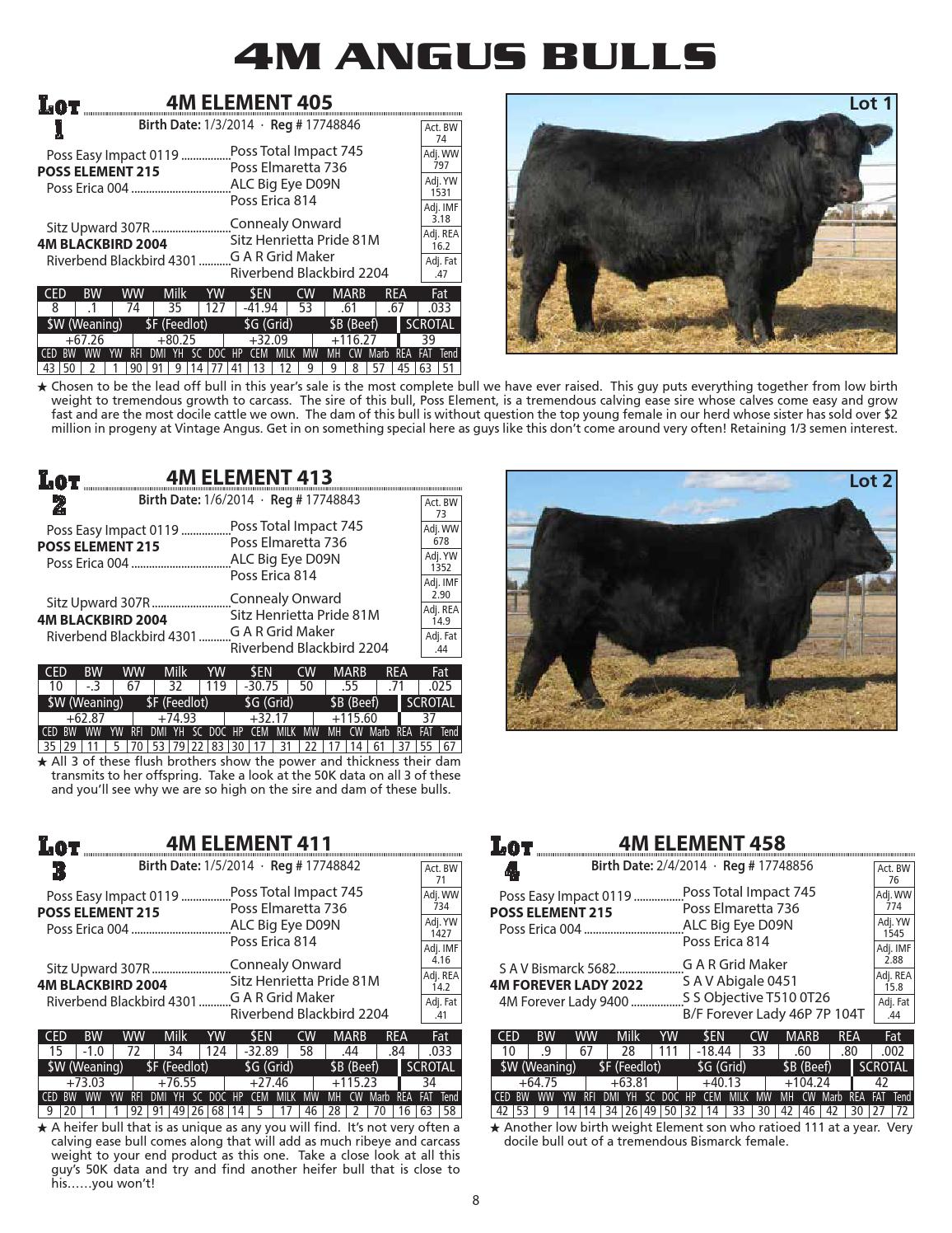 2015 4M Angus Bull Sale Catalog by Ranch House Designs Issuu