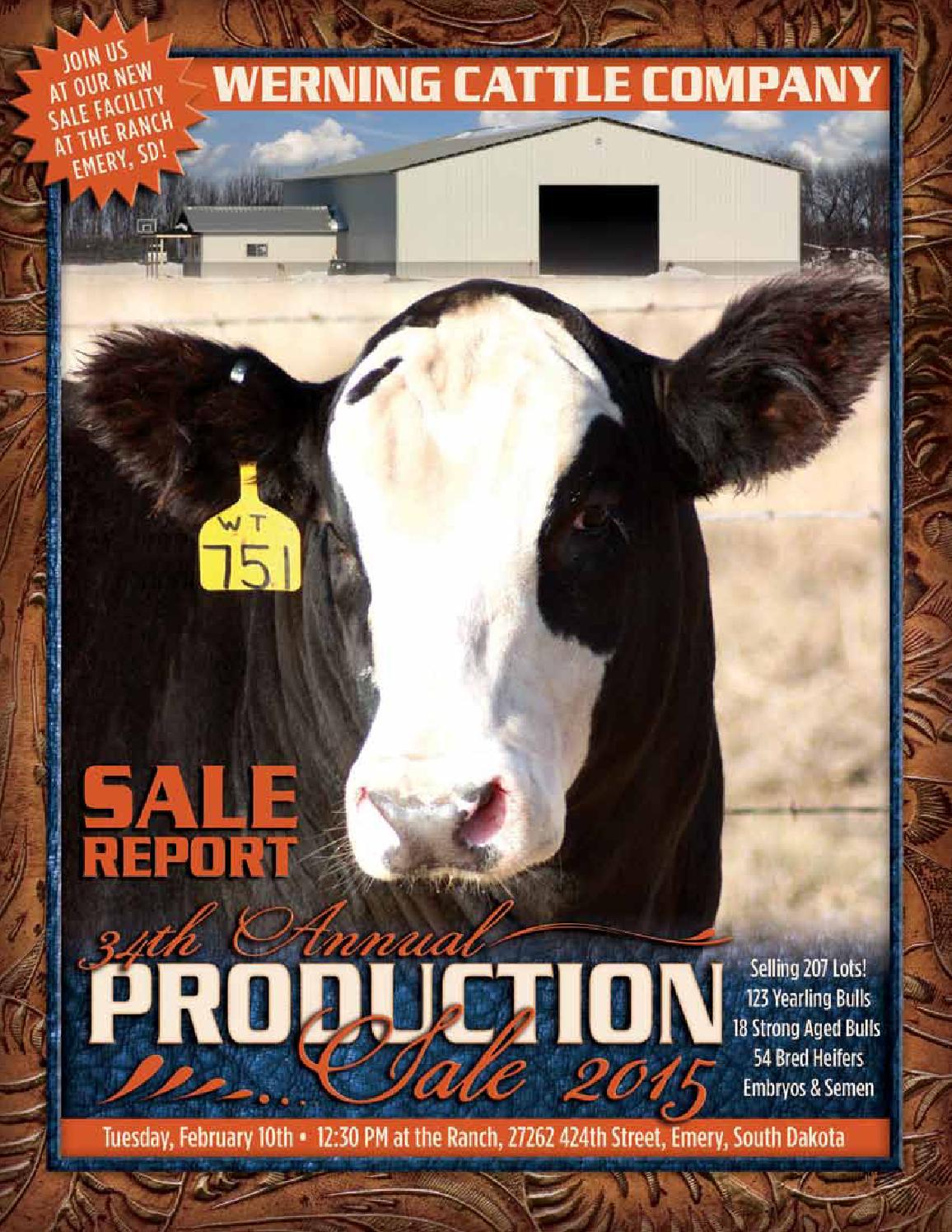 2015 Werning Cattle Co Sale Report by Eberspacher Enterprises Issuu