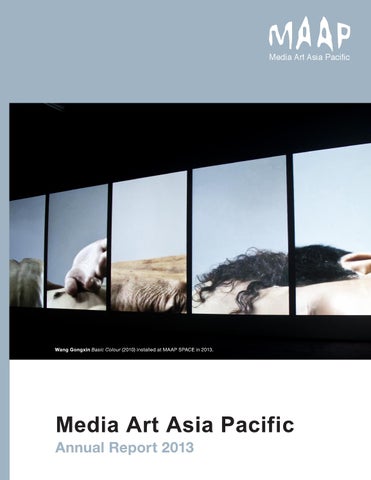 Maap 2013 report 第 1 页