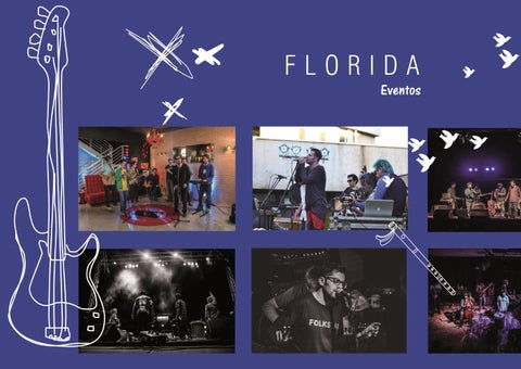 Florida 第 12 页