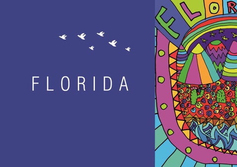 Florida 第 2 页