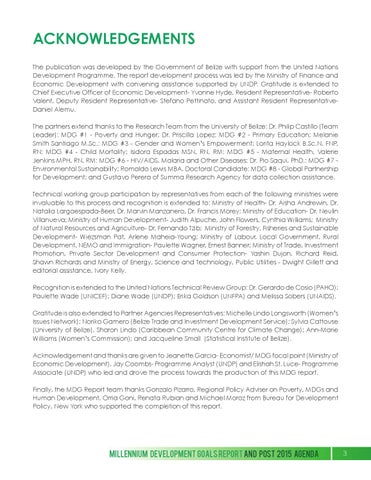 Millennium Development Goals Report and Post 2015 Agenda 第 3 页