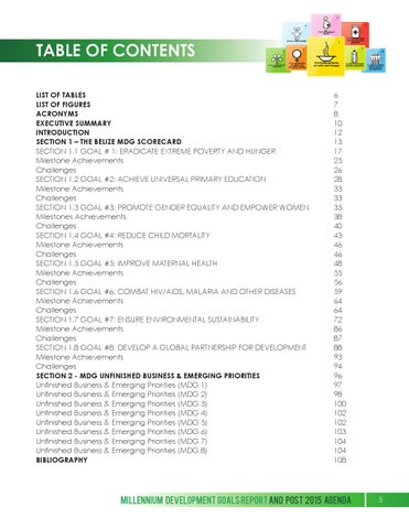 Millennium Development Goals Report and Post 2015 Agenda 第 5 页