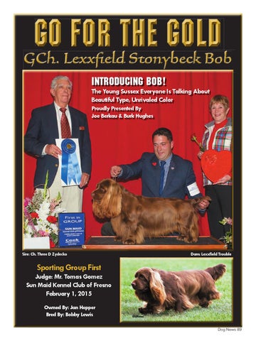 lexxfield sussex spaniels