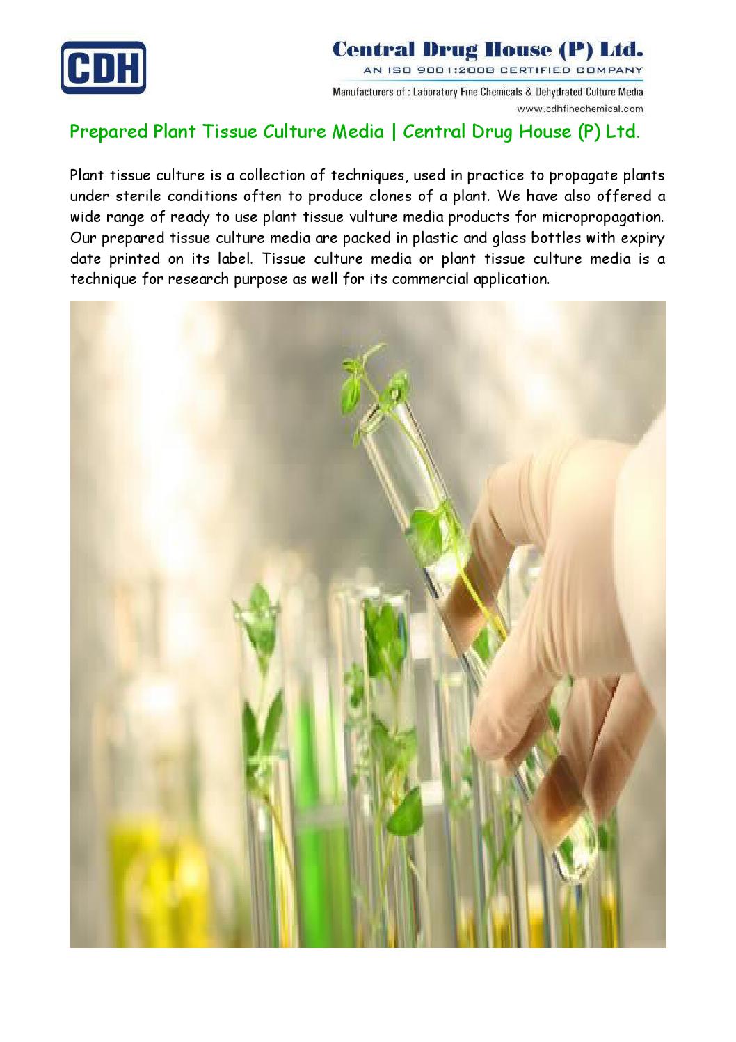 Prepared Plant Tissue Culture Media Manufacturers by cdhfinechemical