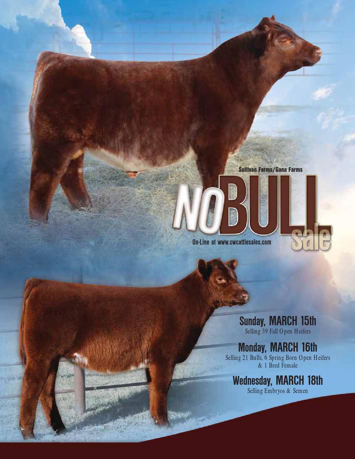 2015 No Bull Sale Catalog by Ranch House Designs Issuu