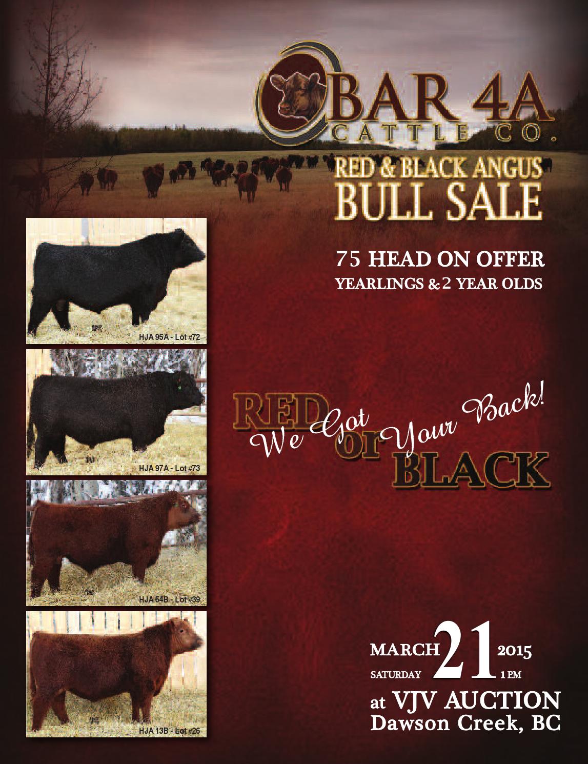 Bar 4A Cattle Company by Coyote Publishing Ltd. Issuu