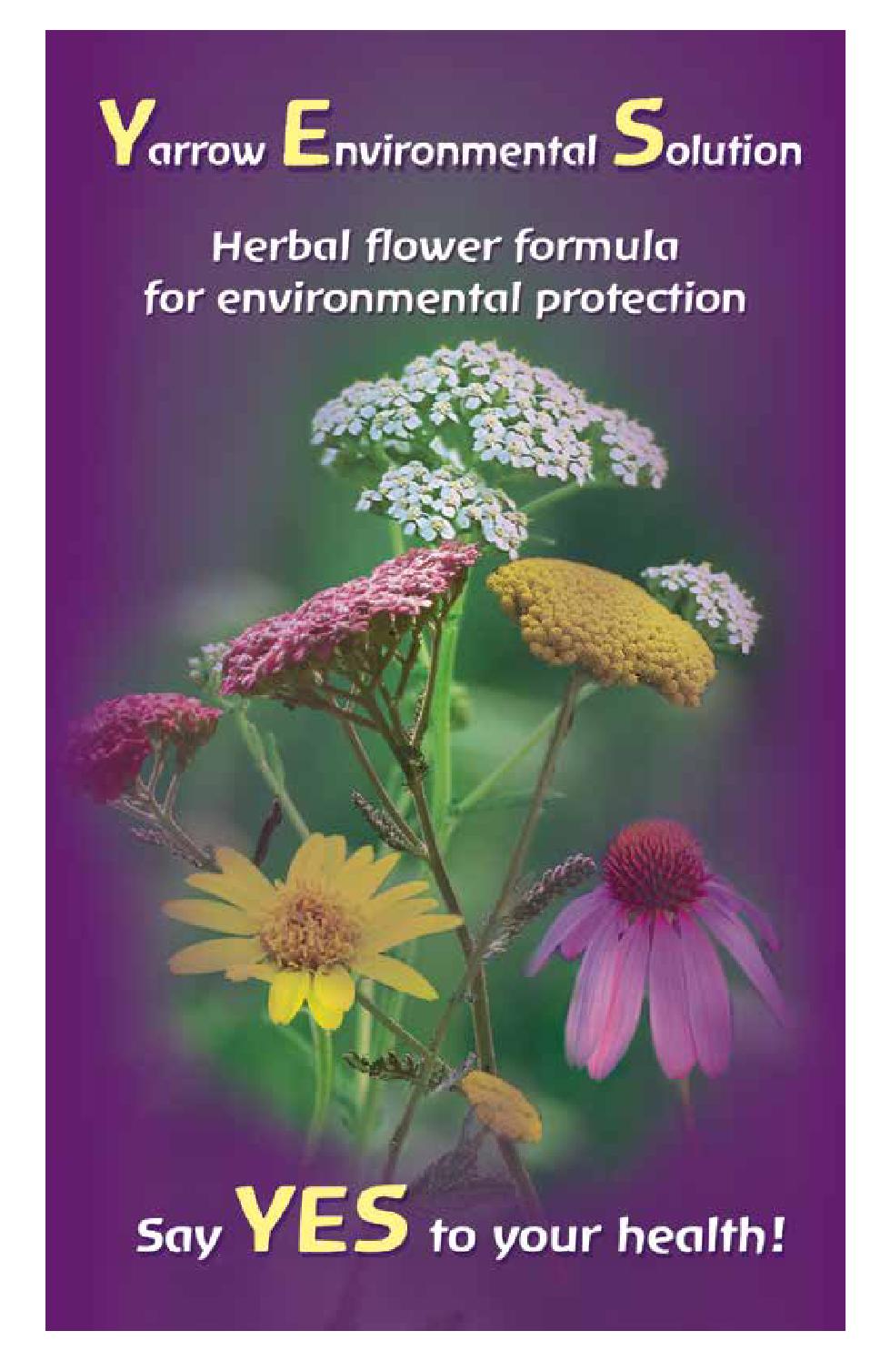 Yarrow Environmental Solution by Flower Essence Services issuu
