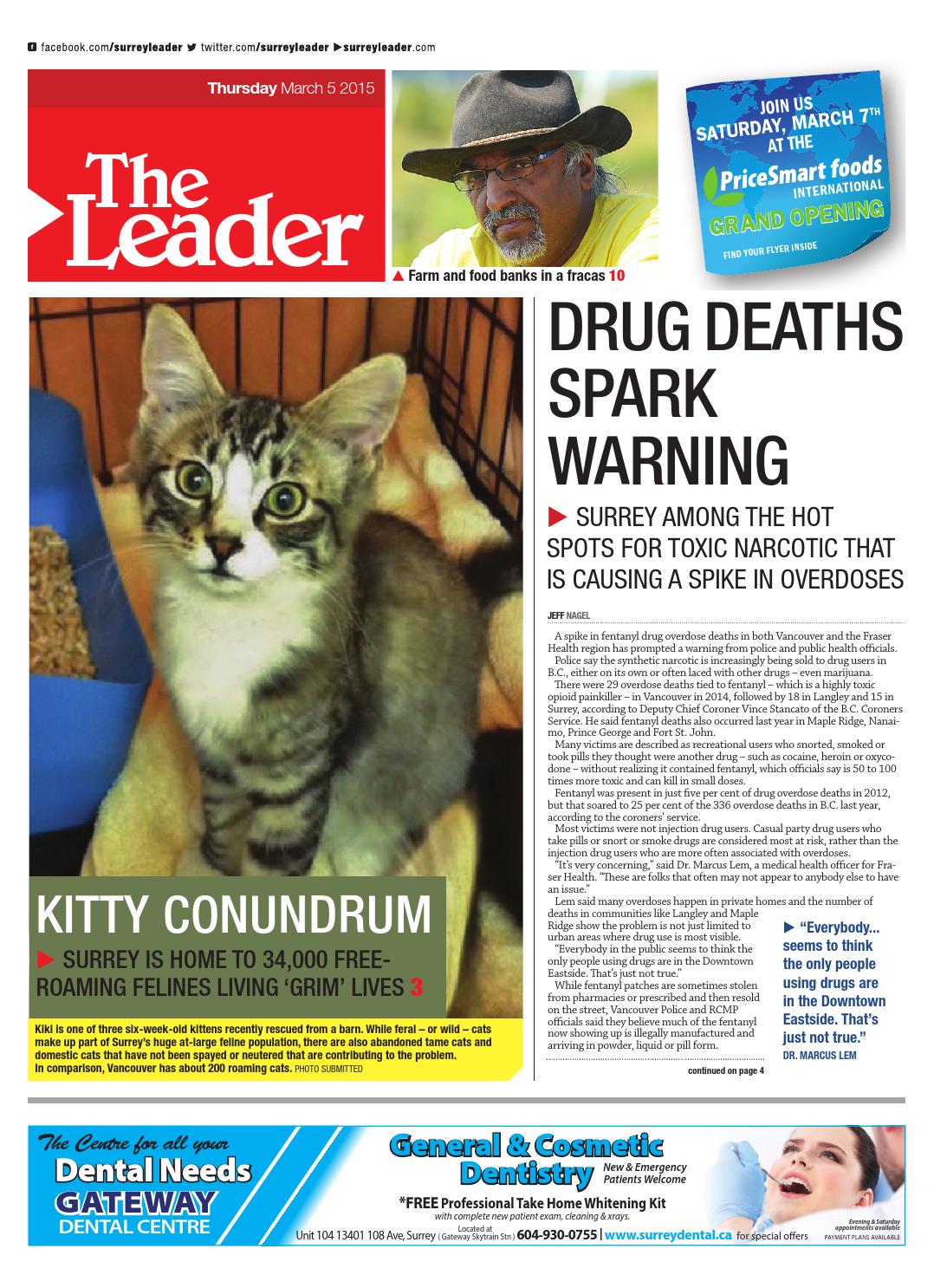 surrey north delta leader march 05 2015 by black press issuu flyers in mailboxes illegal 2015