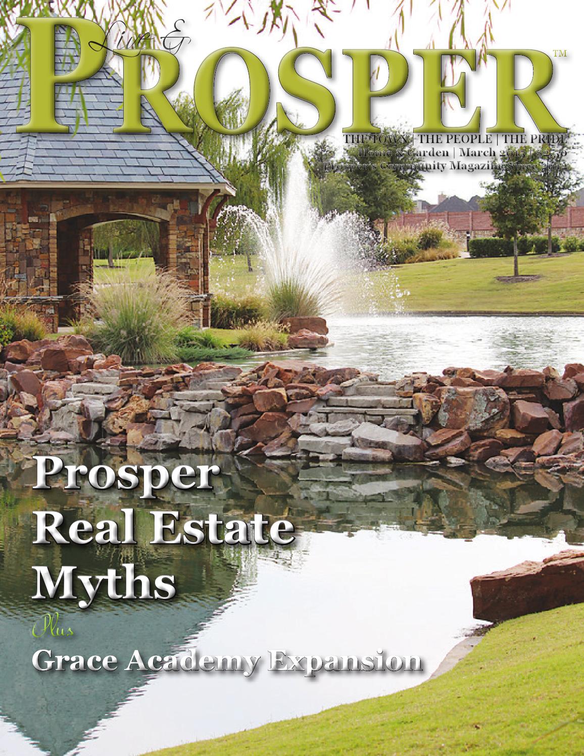 Prosper Magazine March 2015 by Cedarbrook Media Group, LLC Issuu