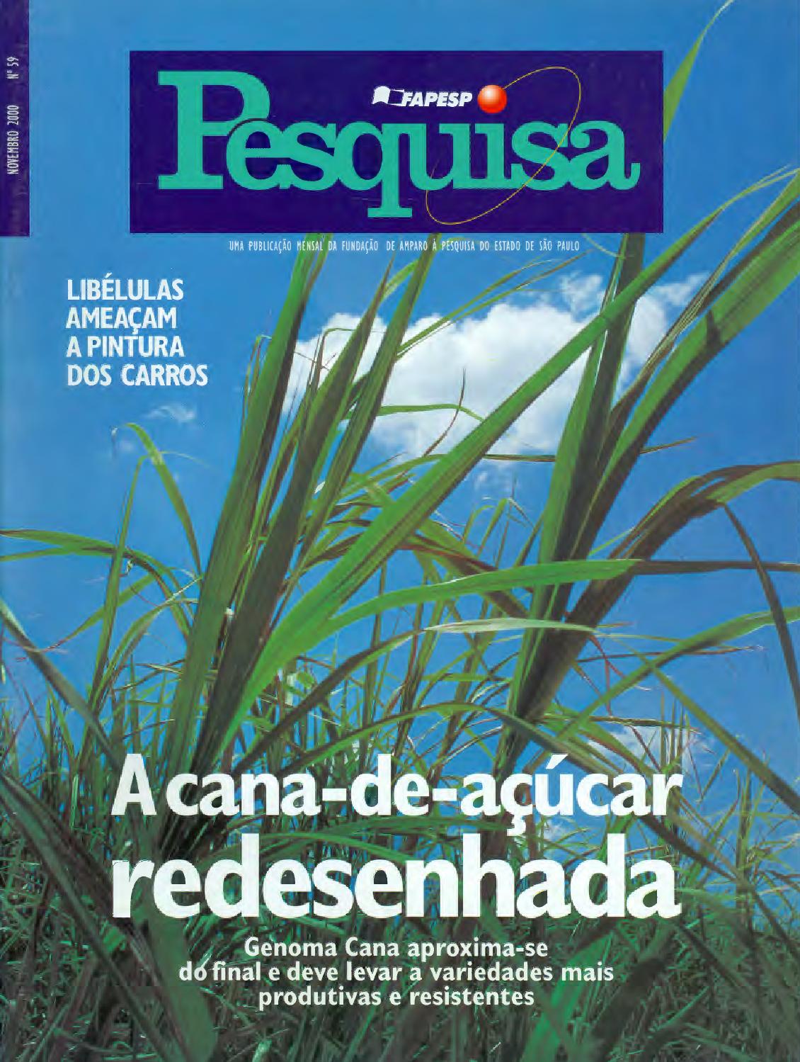 video intervento prostata con laser verde y video intervento prostata con laser verde y